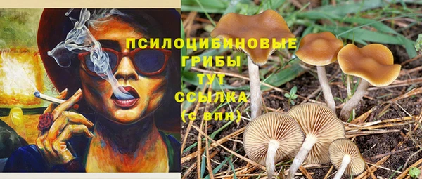 ГАЛЛЮЦИНОГЕННЫЕ ГРИБЫ Бронницы