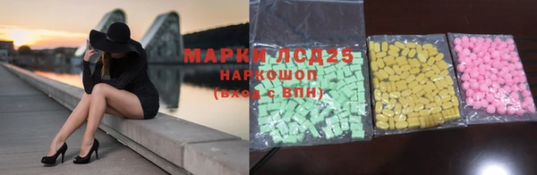 мдпв Бородино