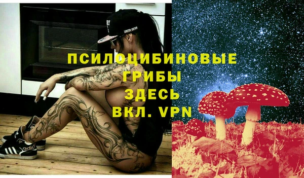 apvp Богородск