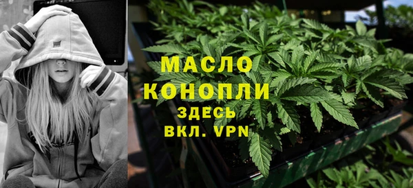 мдпв Бородино