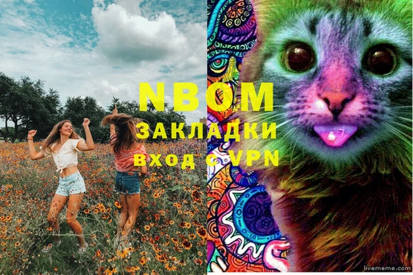 амф Богородицк